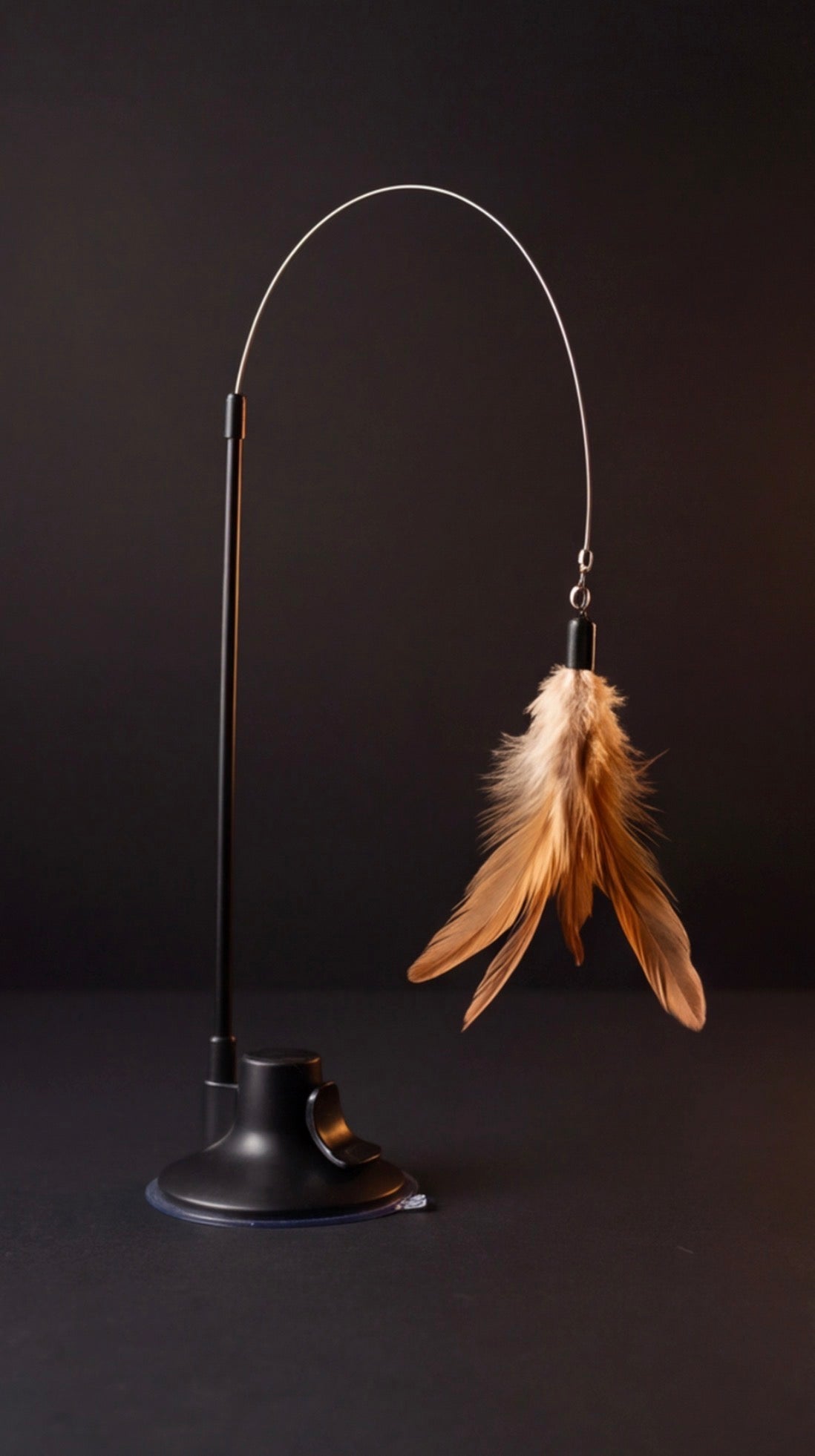 Canne à plumes à ventouse pour chat, avec clochette et tige flexible