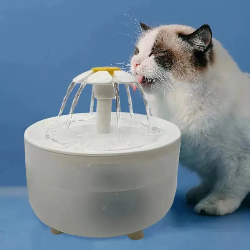 Fontaine à eau XL de 1200 mL avec filtration pour chien et chat