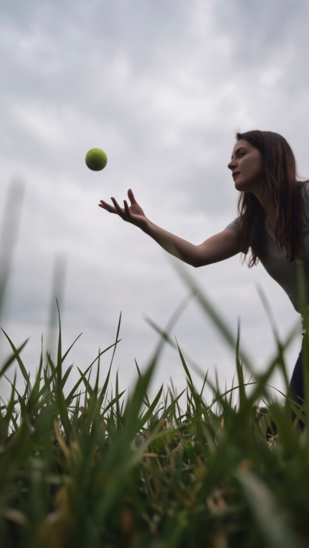 Balle Rebond Interactive pour Chien