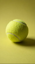 Lot de balles de tennis en caoutchouc rebondissantes pour chien