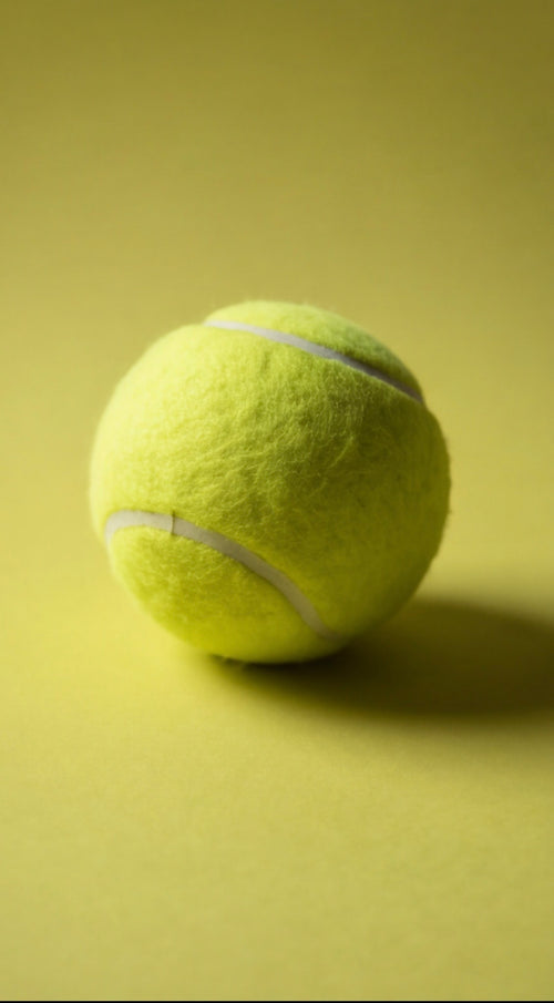 Lot de balles de tennis en caoutchouc rebondissantes pour chien