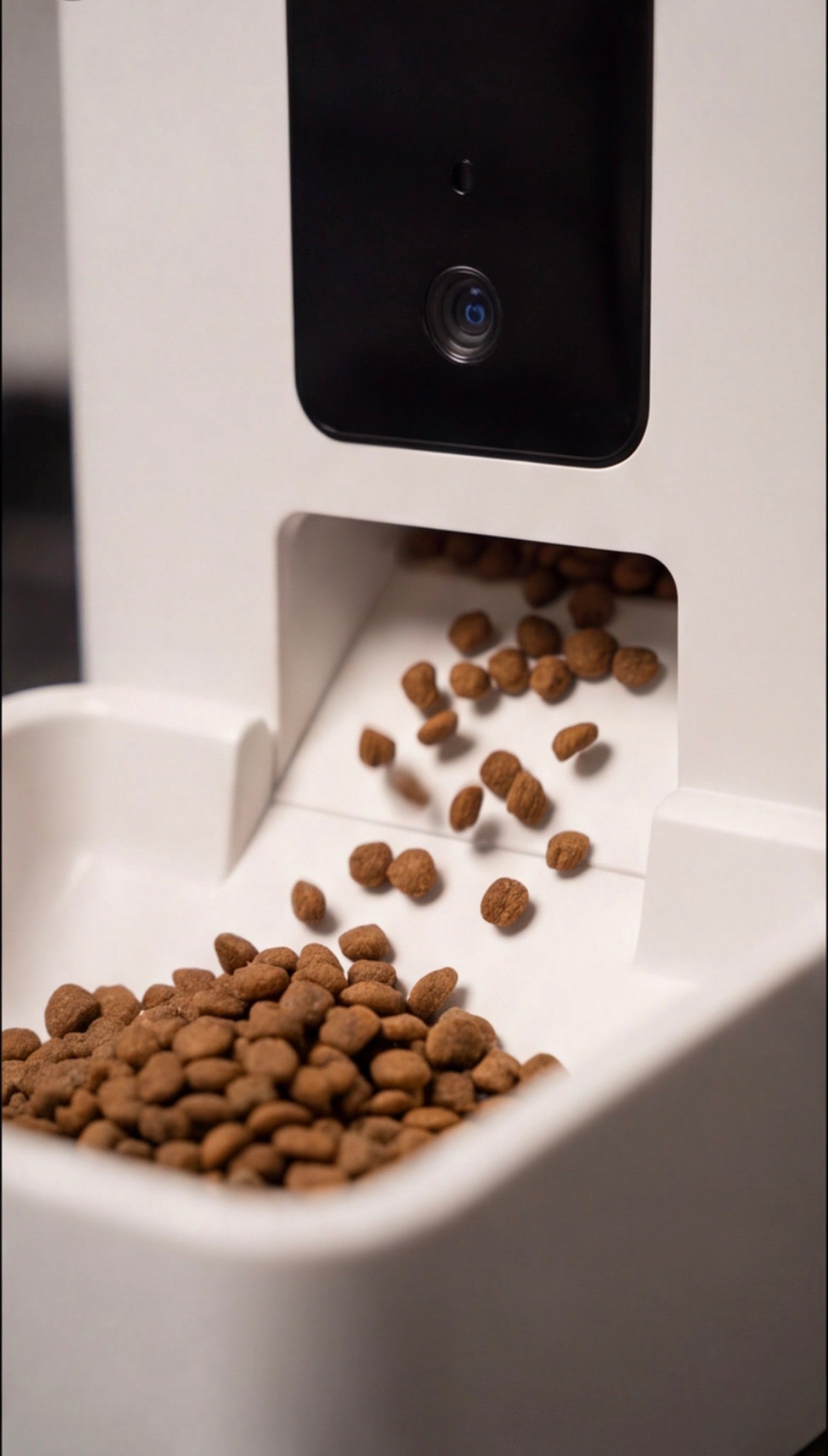 Distributeur de Croquettes Connecté 8L