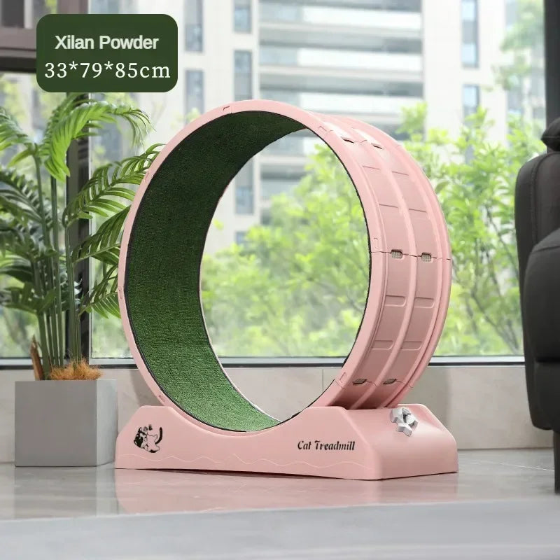 Roue d'Exercice Silencieuse pour Chat