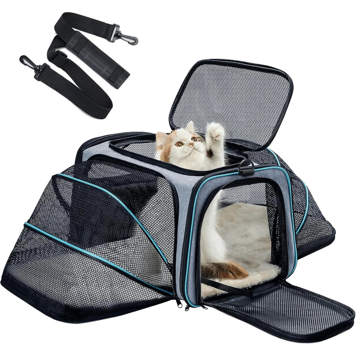 Sac de transport agréé avion pour chien et chat, extensible sur quatre côtés
