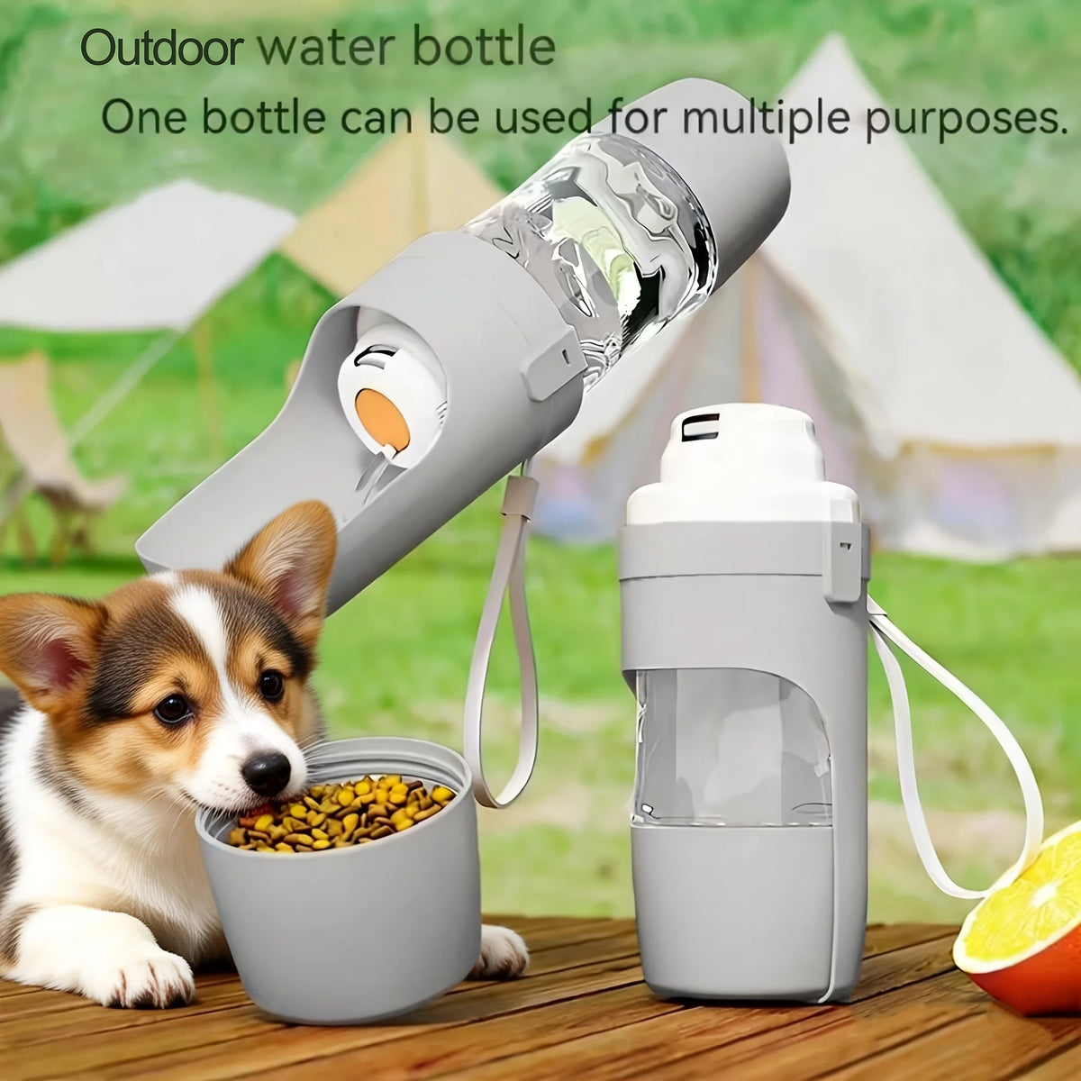 Gourde pliable anti-fuite 2 en 1 pour chien, avec gamelle intégrée