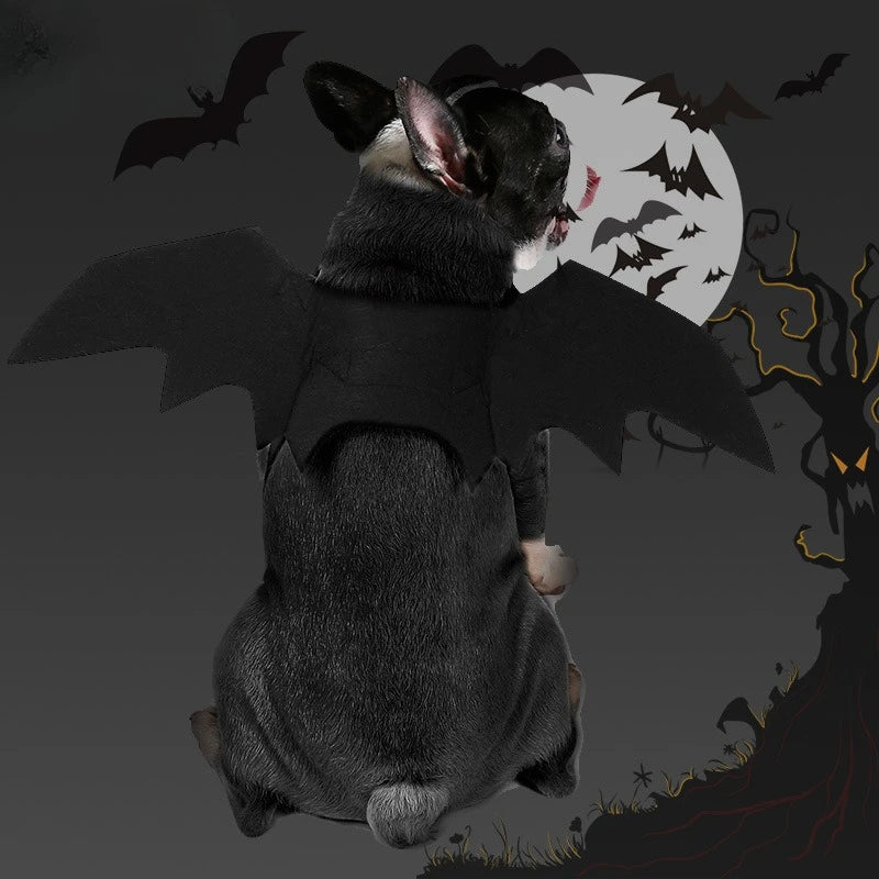 Ailes de chauve-souris pour chien – Déguisement Halloween