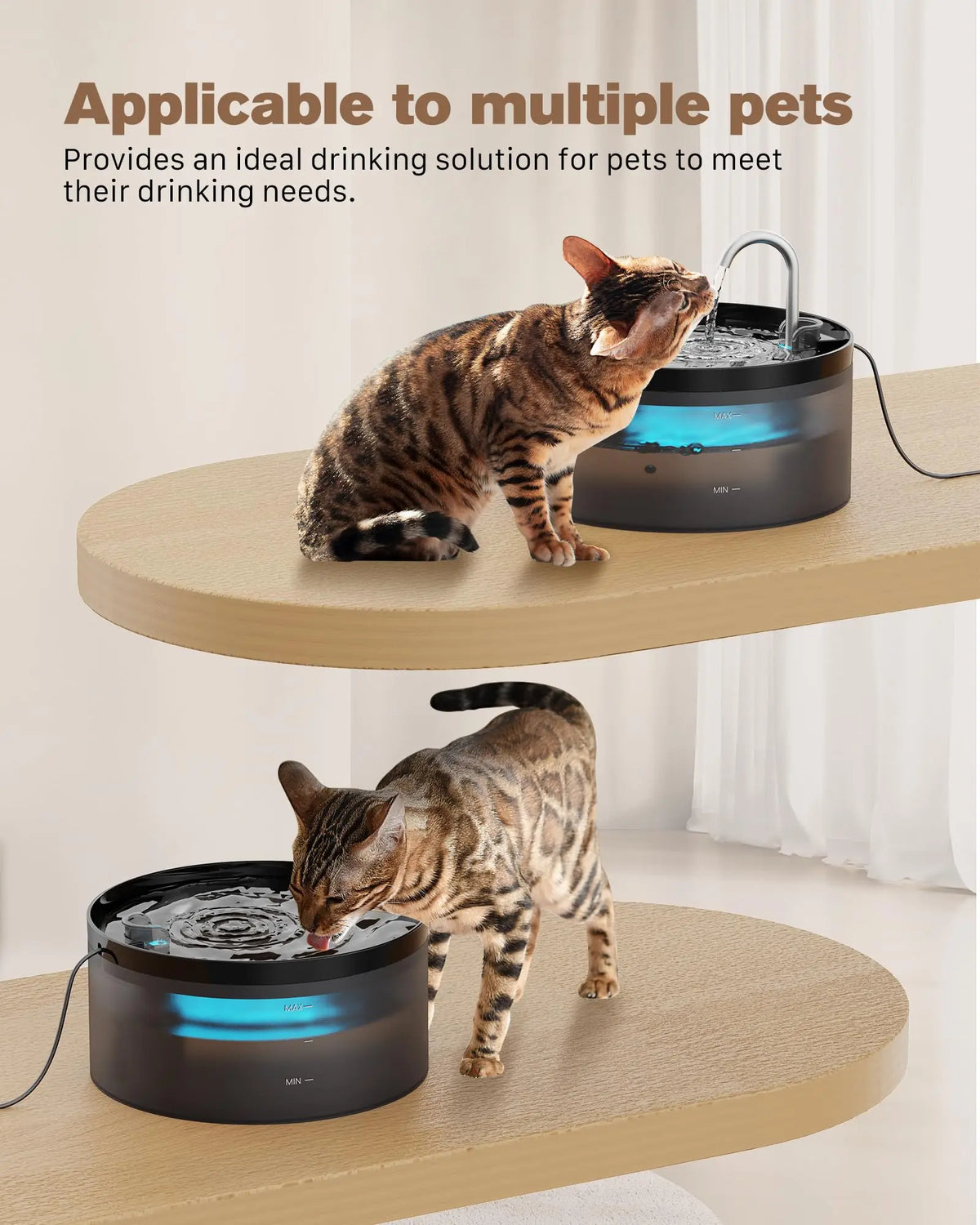 Fontaine à Eau Automatique 2.1L