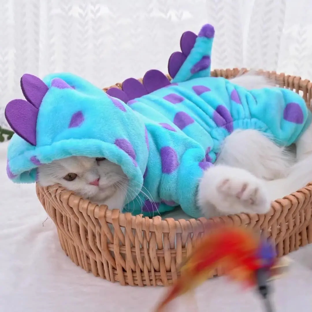 Costume Dino à Capuche