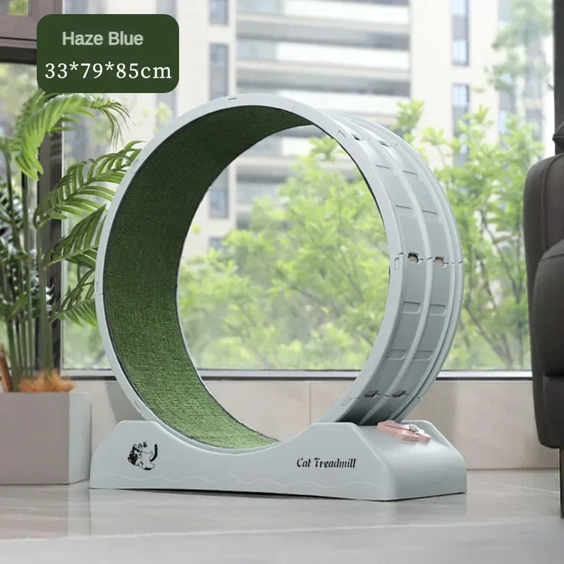 Roue d'Exercice Silencieuse pour Chat
