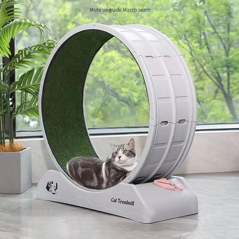 Roue d'exercice silencieuse de 80 cm pour chat