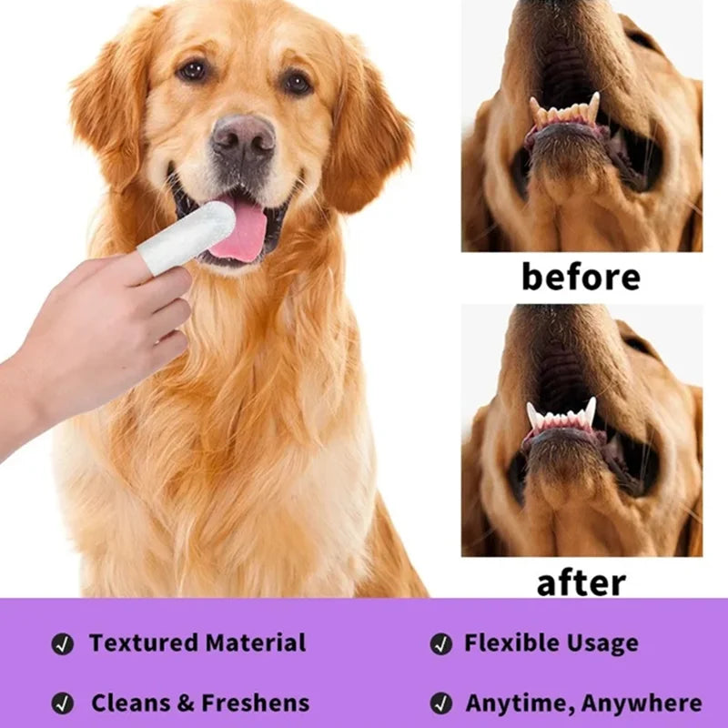 Doigtiers Brosse à Dents
